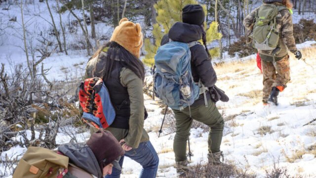 Screenshot-2025-03-29-at-1.34.46 PM-1